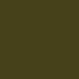Dark Color: #46411a