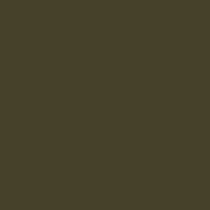 Dark Color: #46412a