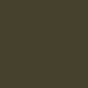 Dark Color: #46412d