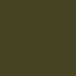Dark Color: #464323